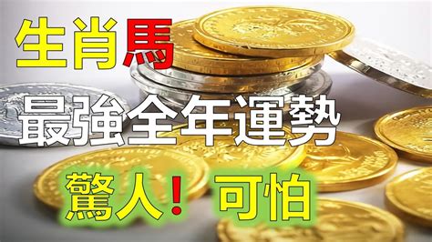 屬馬2023每月運勢|生肖馬2023年運勢及運程詳解，屬馬人2023年全年每月運勢